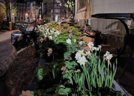 Frederick Stearns House historic inn 写真