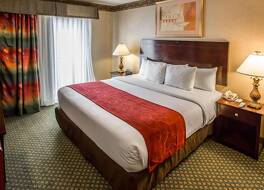 コンフォート スイーツ オークブルック テラス ニア オークブルック センター 写真