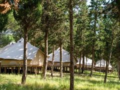 Quinta dos Machados - Country House, SPA e Eventos 写真