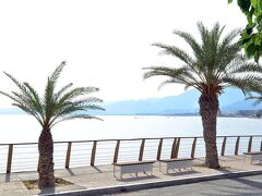 ティスヴィ 写真