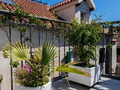 Hotel Slavija 写真