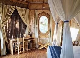 マリンギスンバ 写真