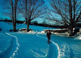 ウィンダーム ヒル イン 写真