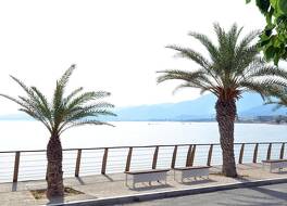 ティスヴィ 写真