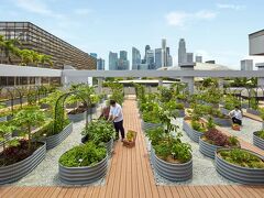 パークロイヤル コレクション マリーナベイ 写真