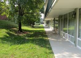 アメリコート エクステンデッド ステイズ 写真