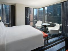 コートヤード バイ マリオット ニューヨーク マンハッタン セントラルパーク 写真