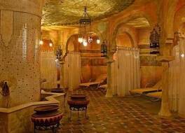 Thermal Hotel Visegrad Superior 写真