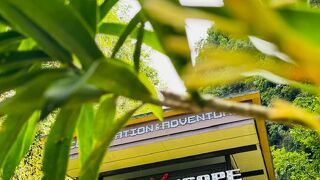 エックススケープ タンブン