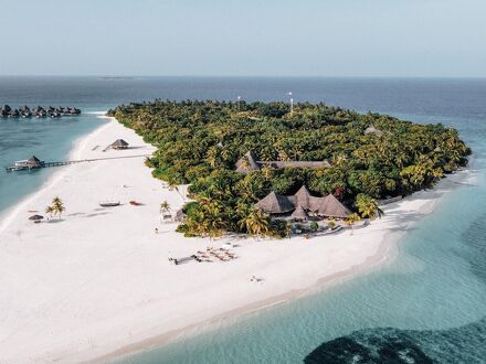 ココ パーム ドゥニ コルフ 写真