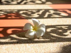 ラック スワン リゾート 写真