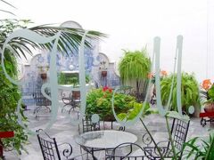 マエストレ 写真