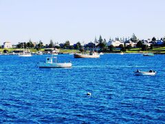 メラレウカ モーテル 写真