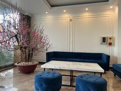 ドラゴン エアポート ホテル 写真