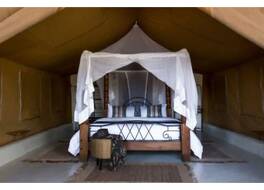 Flamingo Hill Tented Camp 写真