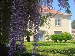 Quinta Do Scoto 写真