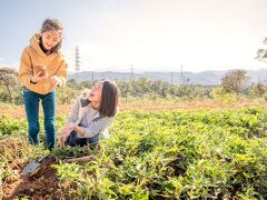 レオフー リゾート クァンシ 写真