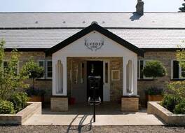 エルブデン イン 写真