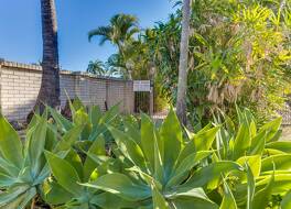 ブリッジ モーター イン 写真