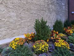 ホリデイ イン ニューヨーク シティ タイムズ スクエア バイ IHG 写真