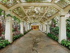 アストン ワイキキ ビーチ タワー 写真