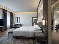 ハイアット  リージェンシー ジャイプール マンサロバー 写真