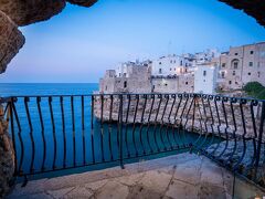 コボ デイ サラセニ 写真