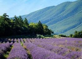 ホテル エルミタージュ 写真