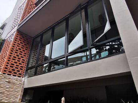 ファン チャン マイ 写真