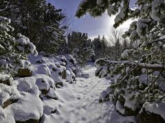 レイキャヴィク ナチュラ ベルジャヤ アイスランド ホテルズ 写真