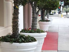 ホテル カーメル 写真