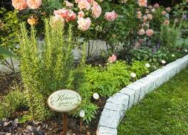 Parkhotel Graz - Traditional Luxury 写真