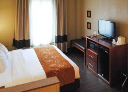 コンフォート スイーツ グランド ラピッズ サウス 写真