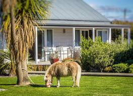 グレイフライアーズ モーテル 写真