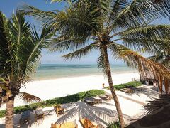 サハリ ザンジバル 写真