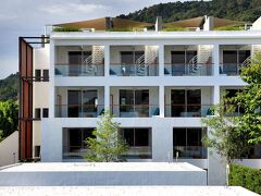 ナップ パトン 写真