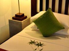 カサッパ ライオンズ ロック 写真