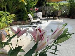 ヘロン ハウス コート - アダルト オンリー 写真