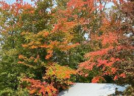 バック イン タイム ベッド & ブレックファスト 写真