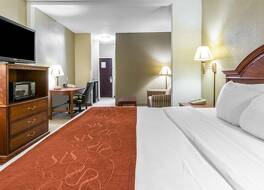 コンフォート スイーツ 写真