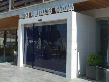 カニェリェス プラッチャ 写真