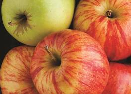 ラ キンタ イン & スイーツ バイ ウィンダム シカゴ ガーニー 写真