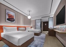 ヒルトン ガーデン イン ナントン ルドン 写真