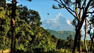 ホテル ピース プラザ