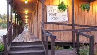 White Moose Lodge