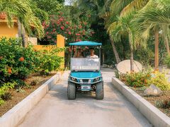 ベリージアン コーヴ エステーツ 写真