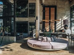 ザ デワ コ チャン 写真