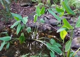 ハンチー ハイダウェイ ホテル 写真