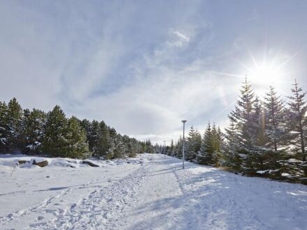 ミヴァトン - ベルジャヤ アイスランド ホテルズ 写真