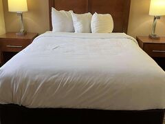 カントリー イン & スイーツ バイ ラディソン バトル クリーク ミシガン 写真